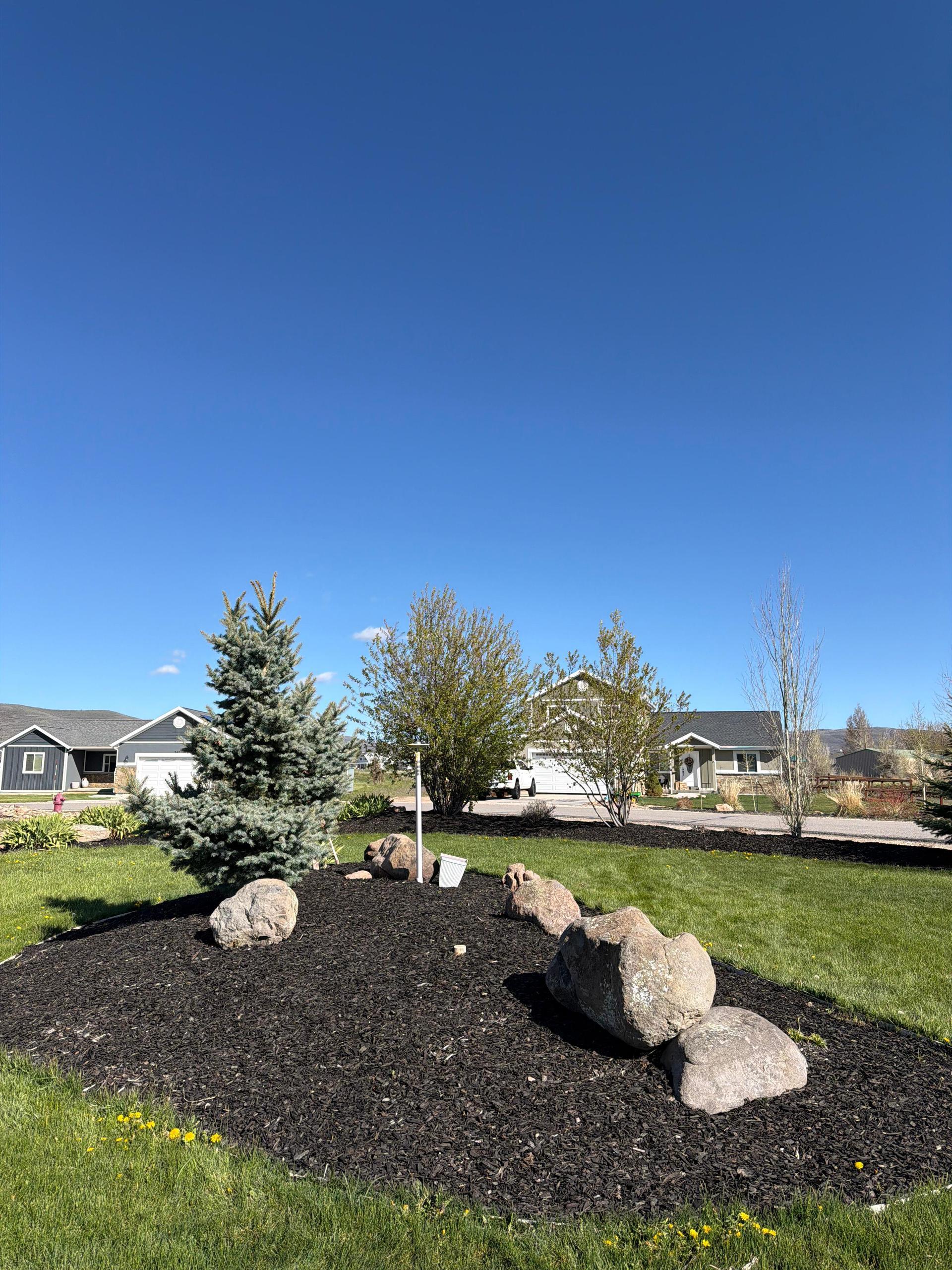 Sod installation and grass replacement