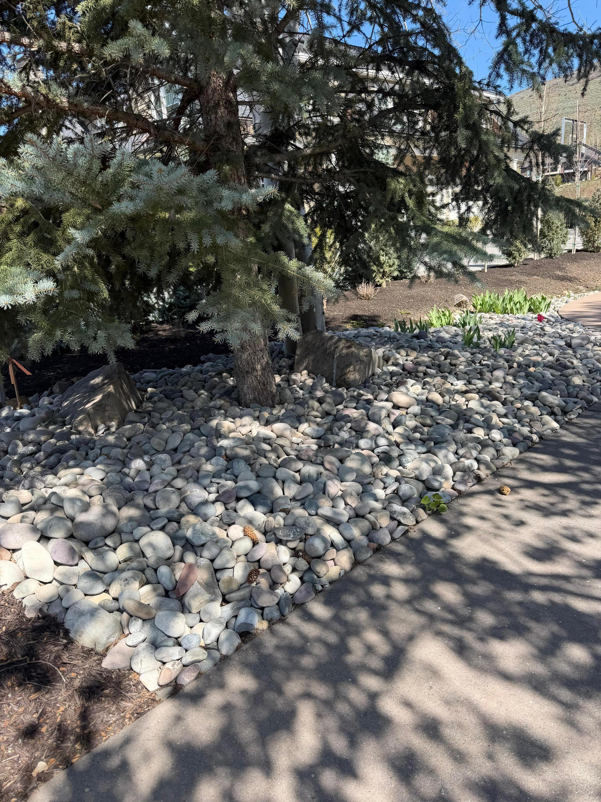 Green Scene Landscaping project photo 018